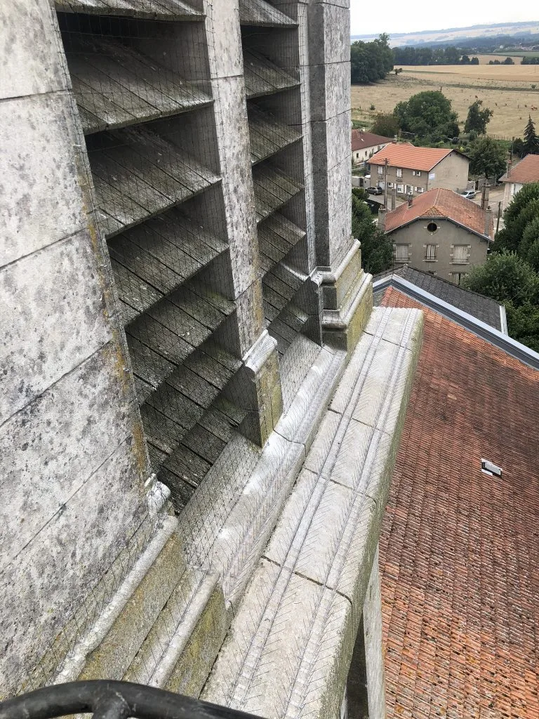 Pics Anti-pigeons Metz Nancy HAKAINET