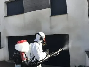 Technicien Hakainet désinsectisation par nébulisation en Moselle à Boulay